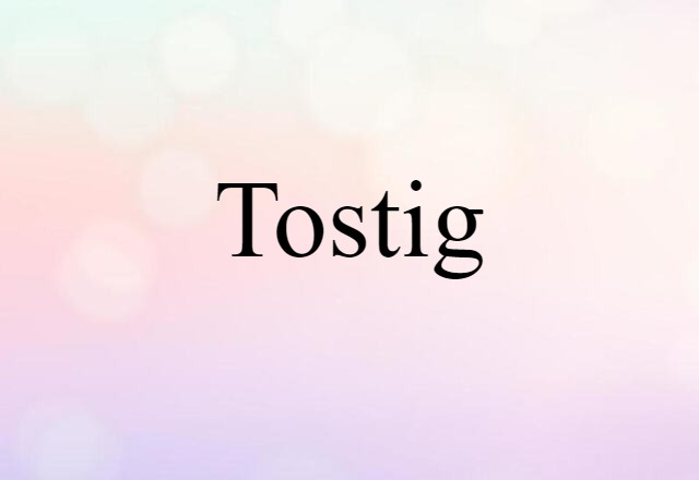 Tostig (noun) Definition, Meaning & Examples