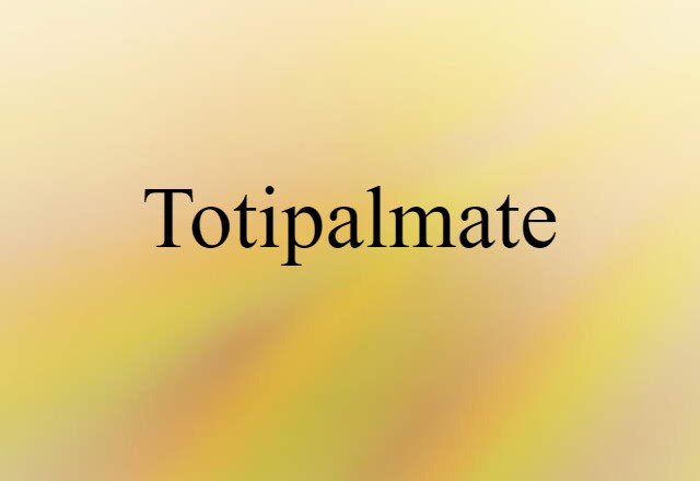 Totipalmate (noun) Definition, Meaning & Examples