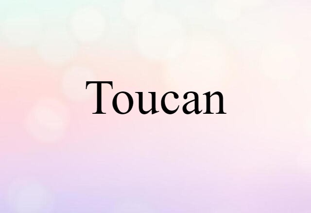 Toucan (noun) Definition, Meaning & Examples