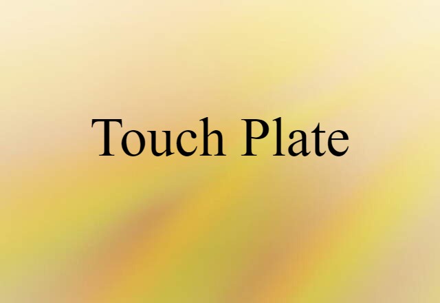 Touch Plate (noun) Definition, Meaning & Examples