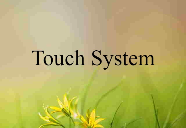 touch system