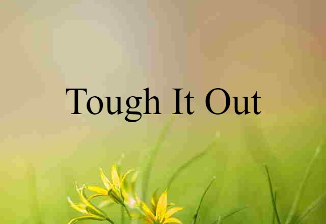 Tough It Out (noun) Definition, Meaning & Examples