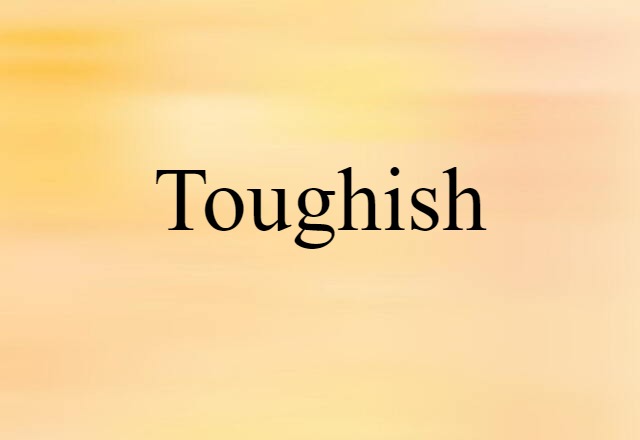 Toughish (noun) Definition, Meaning & Examples