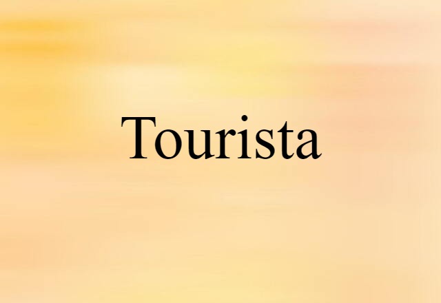 Tourista (noun) Definition, Meaning & Examples