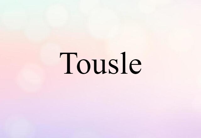 Tousle (noun) Definition, Meaning & Examples