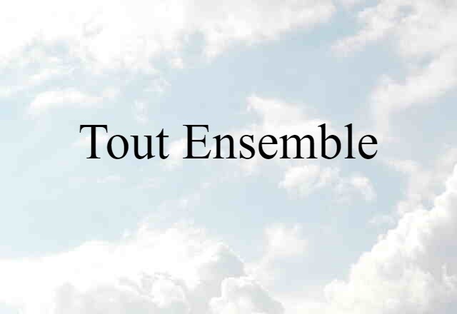 Tout Ensemble (noun) Definition, Meaning & Examples