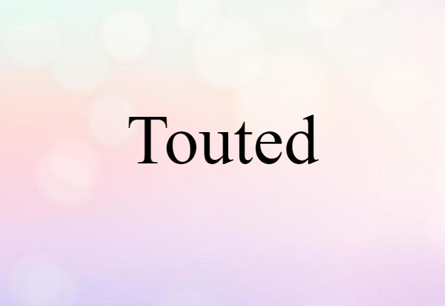 Touted (noun) Definition, Meaning & Examples