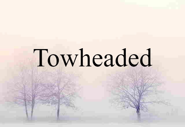 Towheaded (noun) Definition, Meaning & Examples