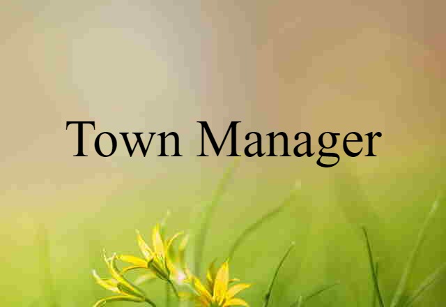 town manager