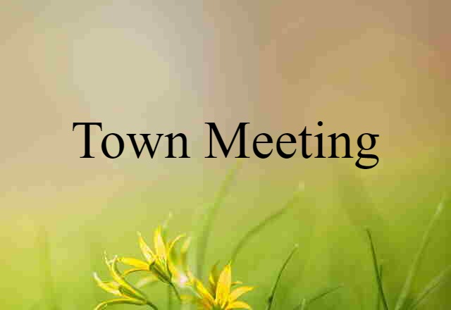 town meeting