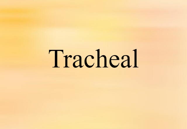 tracheal