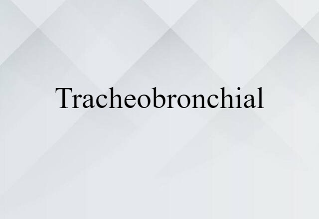 Tracheobronchial (noun) Definition, Meaning & Examples