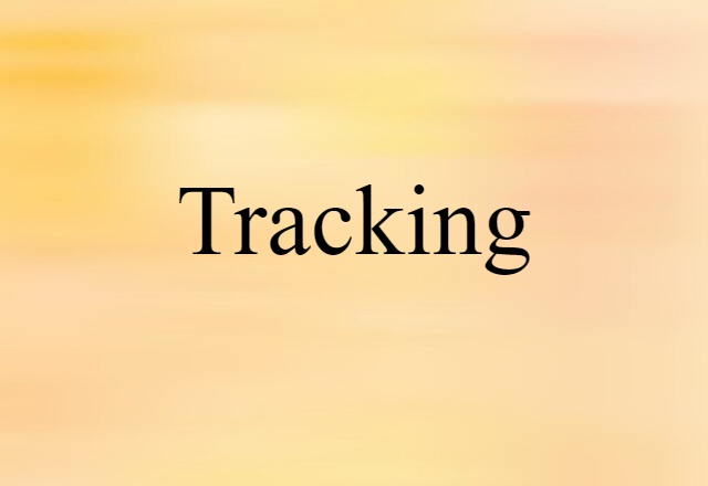 Tracking (noun) Definition, Meaning & Examples