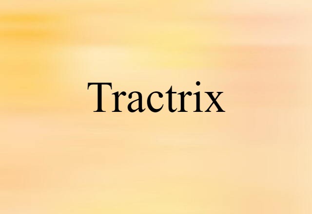 tractrix