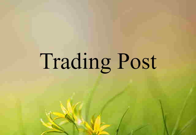 Trading Post (noun) Definition, Meaning & Examples