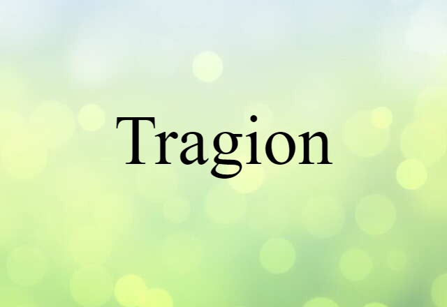 Tragion (noun) Definition, Meaning & Examples