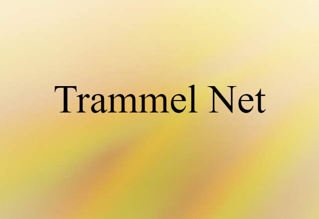 trammel net