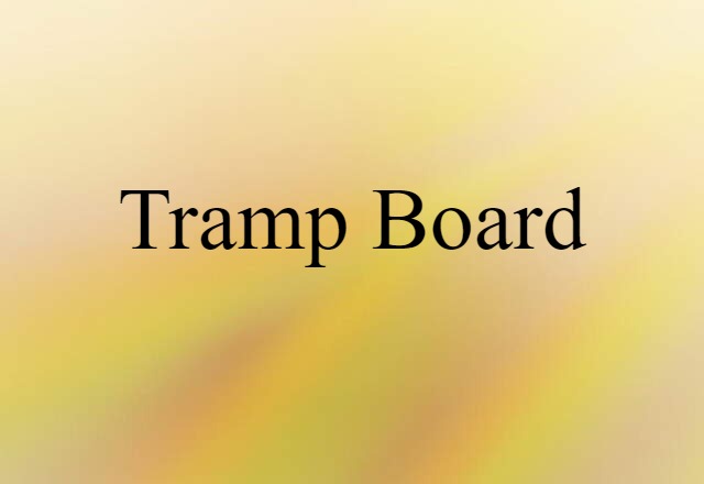 Tramp Board (noun) Definition, Meaning & Examples