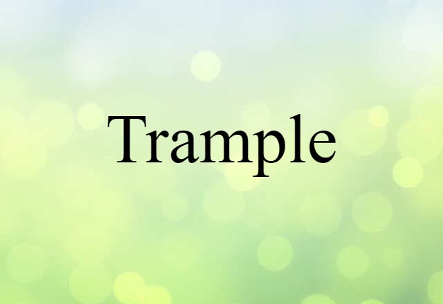 Trample (noun) Definition, Meaning & Examples