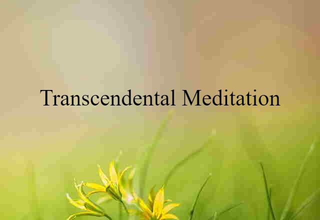 Transcendental Meditation (noun) Definition, Meaning & Examples