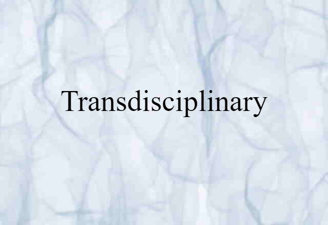 Transdisciplinary (noun) Definition, Meaning & Examples