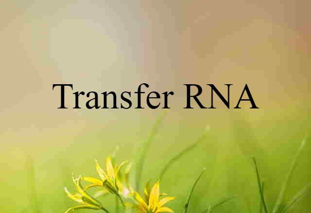 transfer RNA