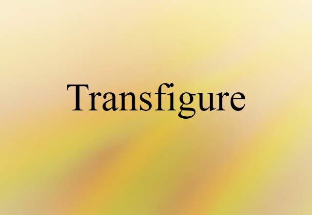 Transfigure (noun) Definition, Meaning & Examples