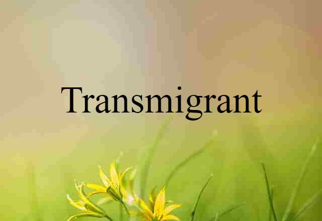 Transmigrant (noun) Definition, Meaning & Examples