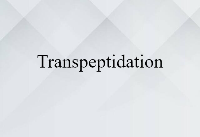 Transpeptidation (noun) Definition, Meaning & Examples