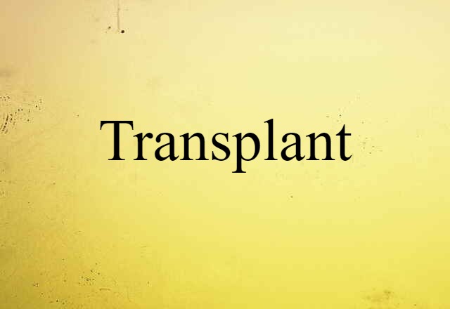 Transplant (noun) Definition, Meaning & Examples