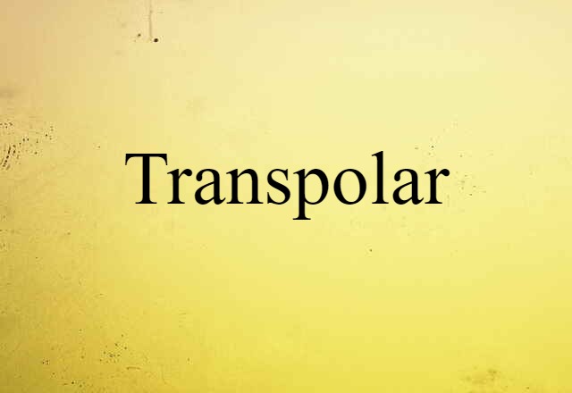 Transpolar (noun) Definition, Meaning & Examples