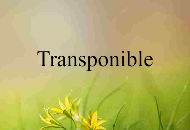 Transponible (noun) Definition, Meaning & Examples