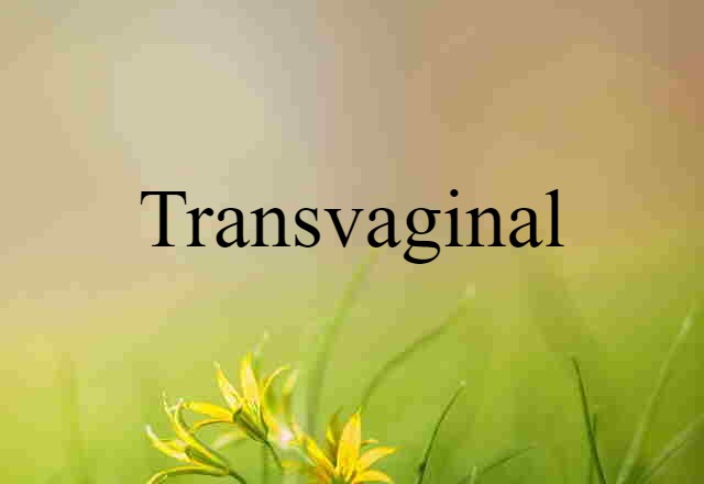 transvaginal