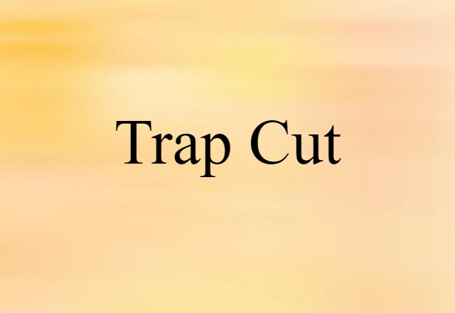 Trap Cut (noun) Definition, Meaning & Examples