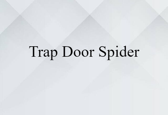 trap-door spider