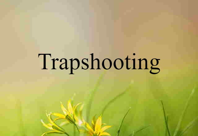 Trapshooting (noun) Definition, Meaning & Examples