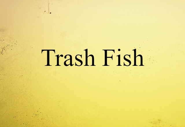 Trash Fish (noun) Definition, Meaning & Examples