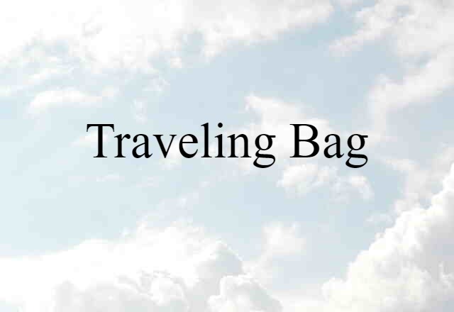 Traveling Bag (noun) Definition, Meaning & Examples