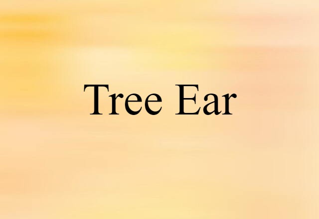 Tree Ear (noun) Definition, Meaning & Examples