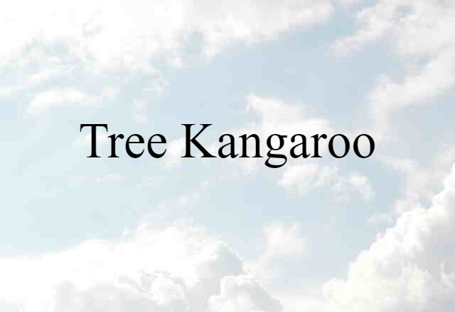 Tree Kangaroo (noun) Definition, Meaning & Examples