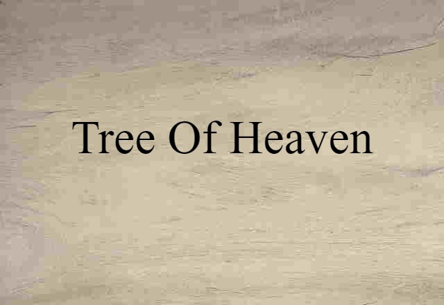 tree of heaven