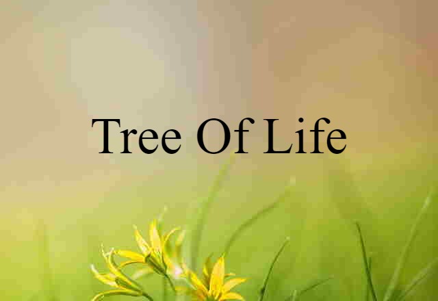 Tree Of Life (noun) Definition, Meaning & Examples