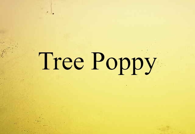 tree poppy