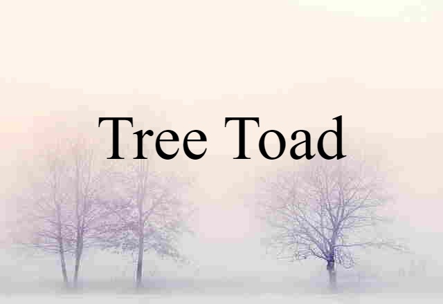 tree toad