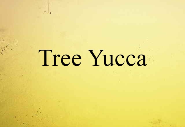 tree yucca