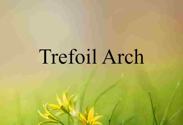 Trefoil Arch (noun) Definition, Meaning & Examples