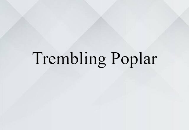 Trembling Poplar (noun) Definition, Meaning & Examples