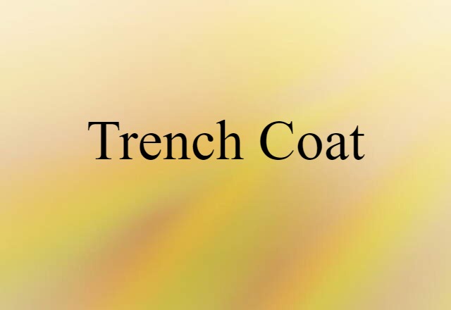 Trench Coat (noun) Definition, Meaning & Examples