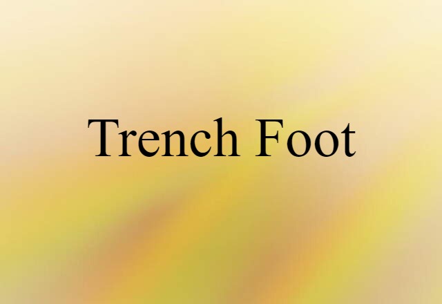 Trench Foot (noun) Definition, Meaning & Examples