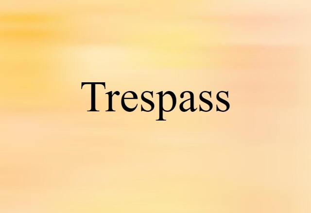 Trespass (noun) Definition, Meaning & Examples